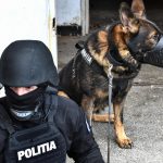 Percheziții la mafia cămătarilor: familia lui Bercea Mondialu, călcată de mascați