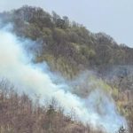 Incendiul de pădure de la Cetățeni, Argeș, stins după 5 zile. Focul, cel mai probabil de la o țigară aruncată la întâmplare