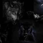 Alege un animal și vei descoperi latura neagră a personalității tale