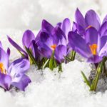 Prognoza meteo pentru săptămâna 7-14 aprilie. Vremea ne dă la propriu fiori, care sunt zonele cele mai afectate - ANM