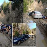 Intervenție dificilă a jandarmilor din Buzău! Cercetători dispăruți în zona Focul Viu, găsiți de după 10 ore de căutări