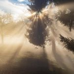 Alertă meteo: cod galben de fenomene periculoase imediate, în mai multe județe din țară