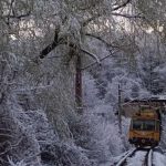 Circulația trenurilor, dată peste cap în două județe, din cauza ninsorilor și a viscolului. Anunțul CFR