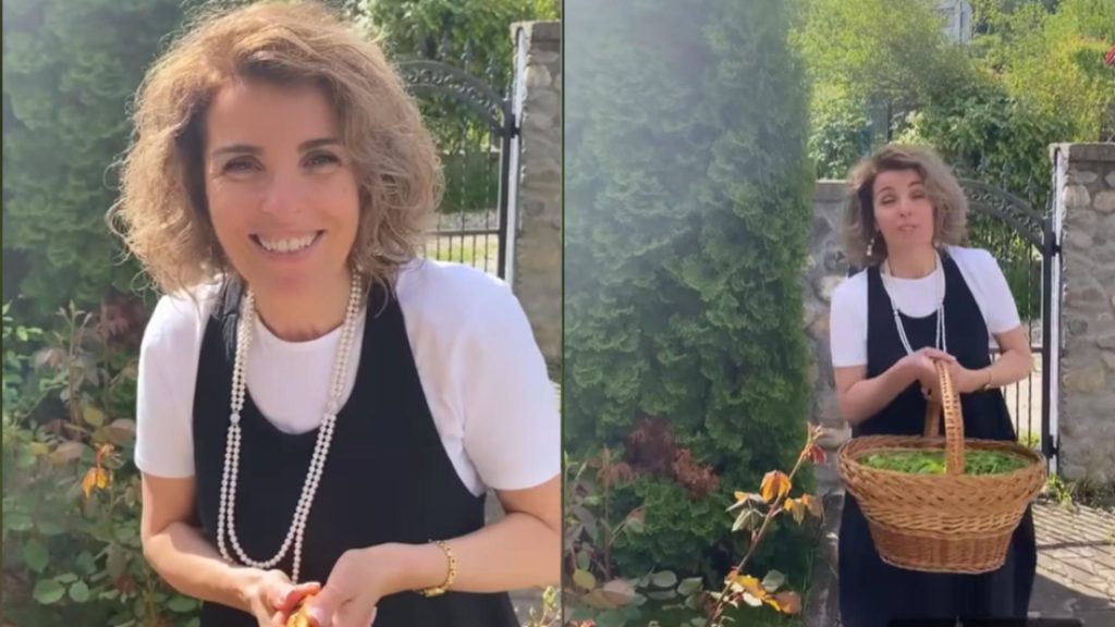 Planta cu acțiuni antibiotice folosită de Cristela Georgescu. Puțini știu de proprietățile extraordinare ale acesteia