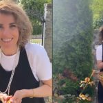 Planta cu acțiuni antibiotice folosită de Cristela Georgescu. Puțini știu de proprietățile extraordinare ale acesteia