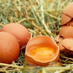 Criză alimentară: oamenii cresc găini să nu mai cumpere ouă