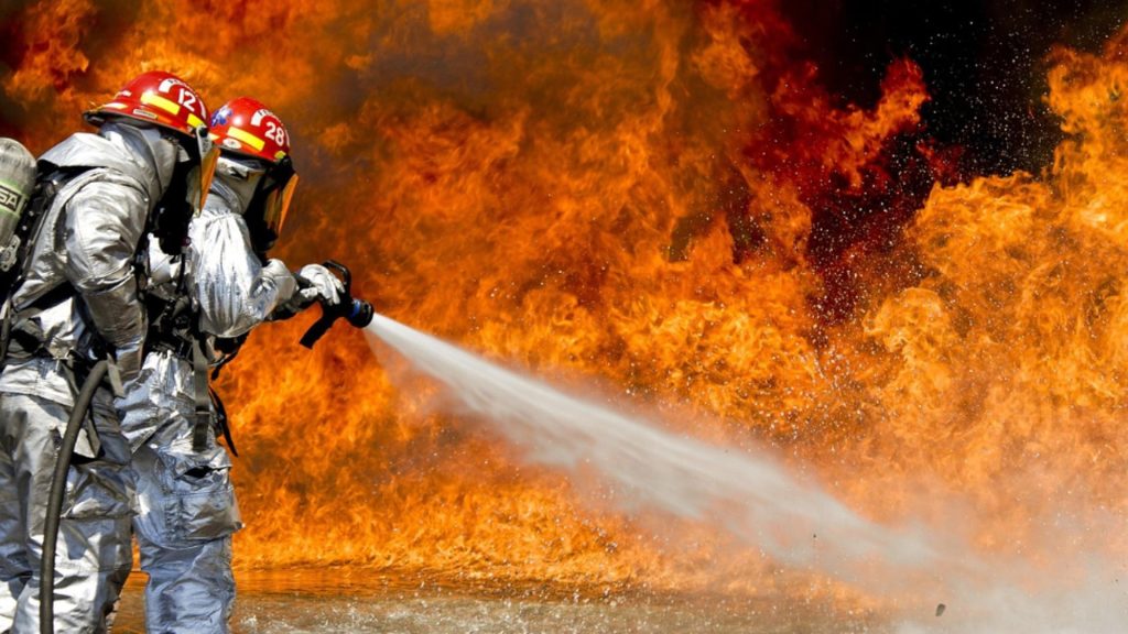 Incendiu devastator în Arad. Un adăpost de animale, mistuit de flăcări. Aproape 50 de vaci și oi au pierit