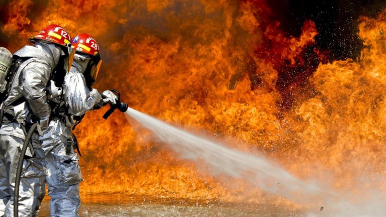 Incendiu devastator în Arad. Un adăpost de animale, mistuit de flăcări. Aproape 50 de vaci și oi au pierit