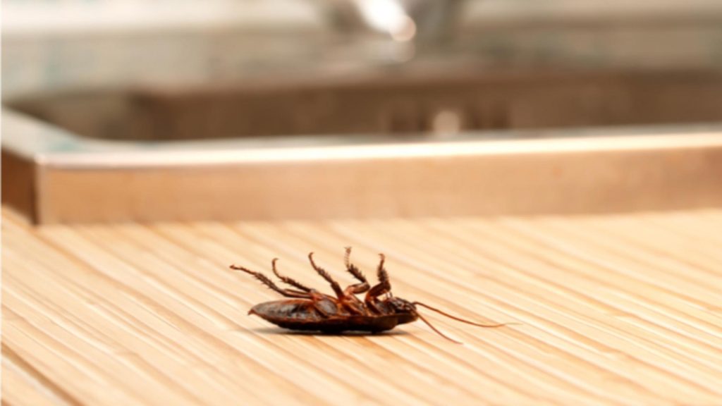 Cea mai mare fabrică de faină din GÂNDCI este la un pas de faliment. Resetarea alimentară iese în decor