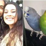Trădat de...papagal: o tânără și-a dat seama că este înșelată după ce Tiki a început să „vorbească prea mult”