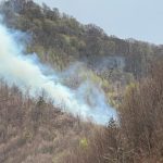 Ard hectare întregi de pădure în județul Argeș. Mobilizare uriașă de forțe, un elicopter Black Hawk ajută în lupta cu flăcările