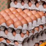 Cum îți dai seama dacă ouăle sunt bune sau nu pentru consum. Testul care îți arată că sunt vechi