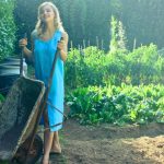 Care sunt plantele medicinale care NU trebuie să-ți lipsească din grădină. Acum este momentul pentru a le planta