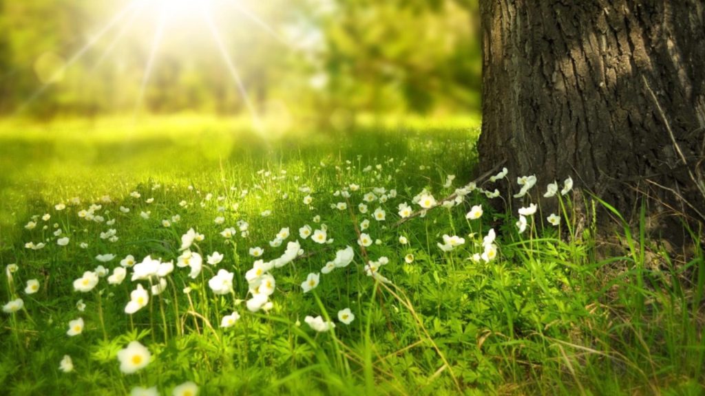 Prognoza meteo pe o lună: temperaturi nefirești și vijelii. Cum va fi vremea în minivacanța de 1 Mai
