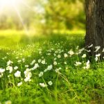 Prognoza meteo pe o lună: temperaturi nefirești și vijelii. Cum va fi vremea în minivacanța de 1 Mai