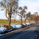Vremea 10 aprilie. Temperaturi sub normalul perioadei în toată țara. Maximele zilei se vor încadra între 12 si 14 grade