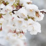 IARNA revine în forță înainte de Paște! Unde va fi cel mai frig: anunțul de ultim moment al meteorologilor