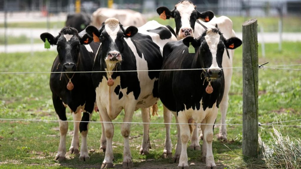România activează mecanismele de urgență în sectorul zootehnic. „Este posibil să avem de-a face cu un virus artificial”