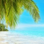 Paradisul tropical care costă doar 30 de euro pe noapte. Puțini români știu de prețurile de acolo, mai ieftine ca pe litoralul românesc