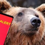 Un urs a fost văzut, duminică după-amiaza, plimbându-se pe o stradă din Bușteni. S-a emis mesaj RO-ALERT