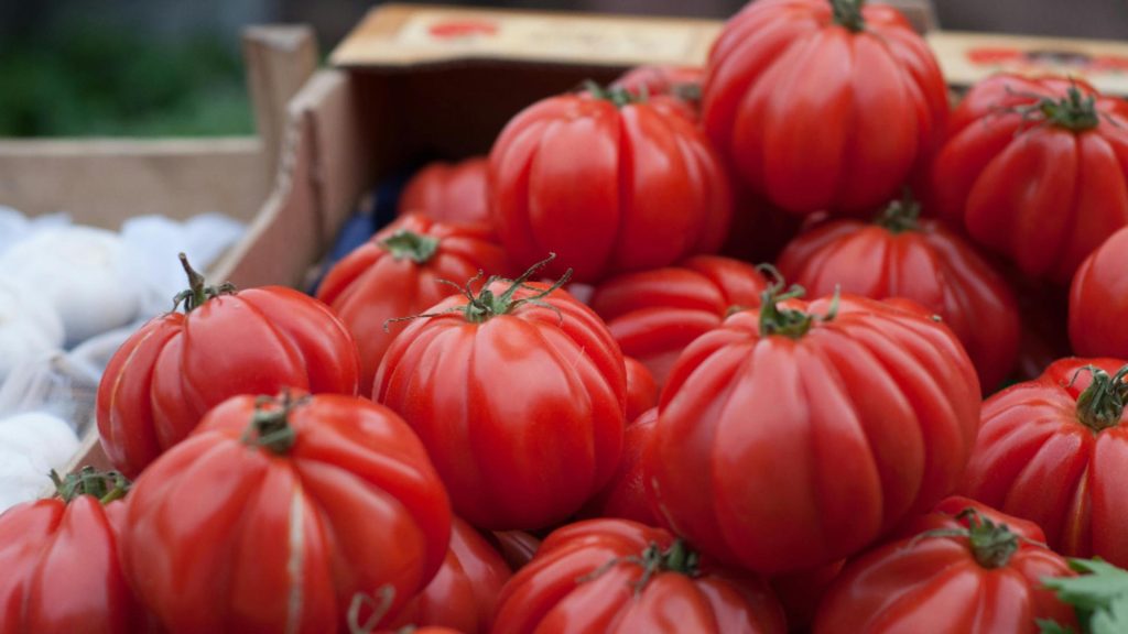 Ce trebuie să pui la rădăcina roșiilor ca să ai parte de o recoltă bogată pe tot parcursul sezonului