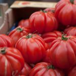 Ce trebuie să pui la rădăcina roșiilor ca să ai parte de o recoltă bogată pe tot parcursul sezonului