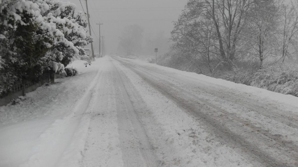 Iarna revine în forță. Cod GALBEN de ploie abundente, ninsori și chiar viscol. Trei sferturi din țară, vizate de avertizarea meteo. Vezi HARTA
