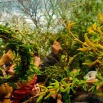 Ce trebuie să dai de pomană în ziua de Florii pentru a avea parte de sănătate tot anul