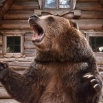 Un urs și-a făcut apariția lângă o cabană din Bicaz Chei. Autoritățile au emis o alarmă Ro-Alert