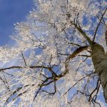 Iarna revine în forță: informare meteo de ninsori, polei și vânt puternic. Cod galben de zăpezi troienite. Harta actualizată