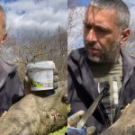 Dragoș Bucur și Secretele Îngrijirii Pomilor Fructiferi: Trucuri și Lecții din Viața la Țară