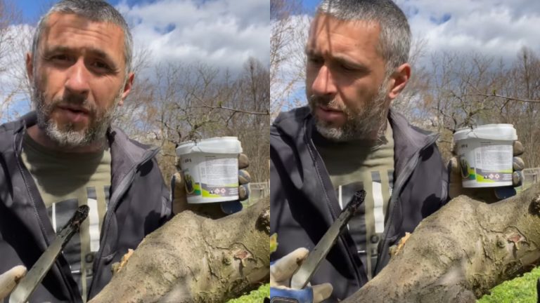 Dragoș Bucur și Secretele Îngrijirii Pomilor Fructiferi: Trucuri și Lecții din Viața la Țară
