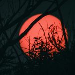 Transformările radicale aduse de Luna Căpșunilor: Impactul asupra Racului, Săgetătorului și Vărsătorului