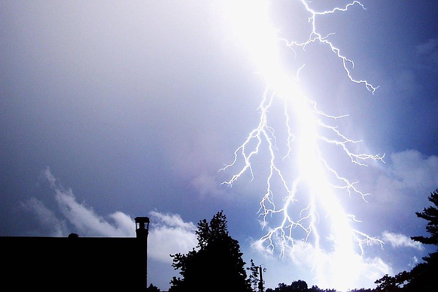 Furtuni și Alertă Meteorologică: Impactul Vremii Severe asupra Bucureștiului