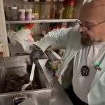 Controalele lui Piedone: O privire detaliată asupra igienei în restaurantele bucureștene