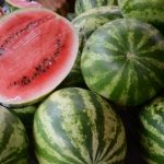 Prețul pepenilor de Dăbuleni: O analiză a costurilor și implicațiilor pentru consumatori