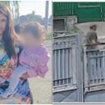 Tragedia Andreei: O poveste de ignorare a semnelor de avertizare în fața violenței domestice