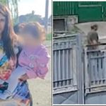 Crima din Lipănești: O tragedie care pune în lumină eșecul sistemului de protecție împotriva violenței domestice