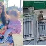 Tragedia de la Lipănești: Povestea cutremurătoare a Andreei și impactul violenței domestice asupra familiilor
