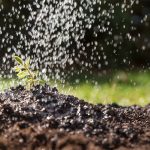 Importanța Îngrășămintelor Agricole: Fundamentul unei Agriculturi Sustenabile și Productive