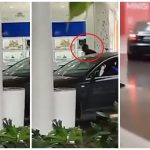 Un jaf spectaculos în Madrid: Cum s-a desfășurat un incident demn de filmele de acțiune