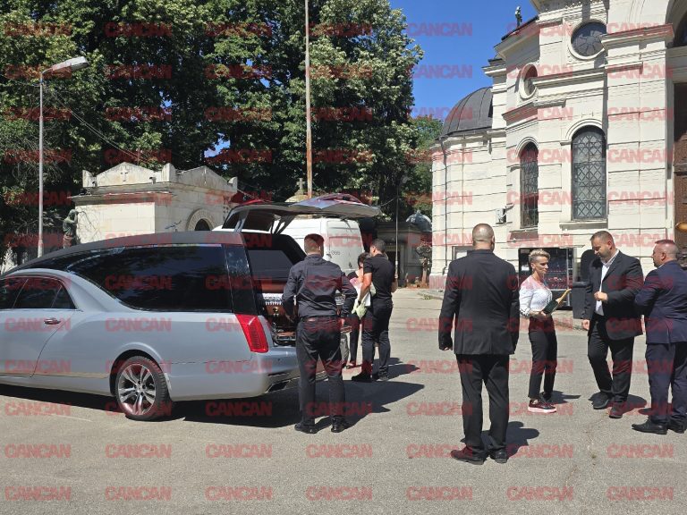 Tragedie și Dedicare: Ultimul Drum al lui Ion Cernea și Impactul Asupra Irinei Loghin