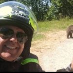Tragedia de pe Transfăgărășan: O lecție amară despre interacțiunea om-animal sălbatic