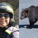 Tragedia de pe Transfăgărășan: Ultimele clipe ale turistului italian ucis de o ursoaică și lecțiile neînvățate despre interacțiunea cu fauna sălbatică