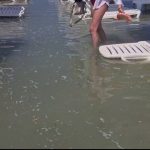 Fenomenul Natural Surprinzător de pe Litoralul Românesc: Costineștiul Înghițit de Valuri