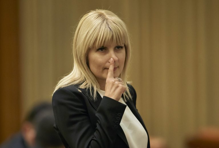 Elena Udrea: Între Justiție și Afaceri – O Analiză Profundă a Situației Sale Actuale