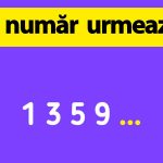 Provocările Testelor de Inteligență: Ce Spun Seria 1, 3, 5, 9 Despre Capacitățile Umane?