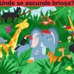 Provocarea brioșei: Ce ne învață teste IQ despre inteligență și observație