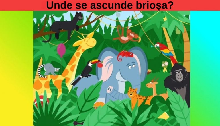 Provocarea brioșei: Ce ne învață teste IQ despre inteligență și observație