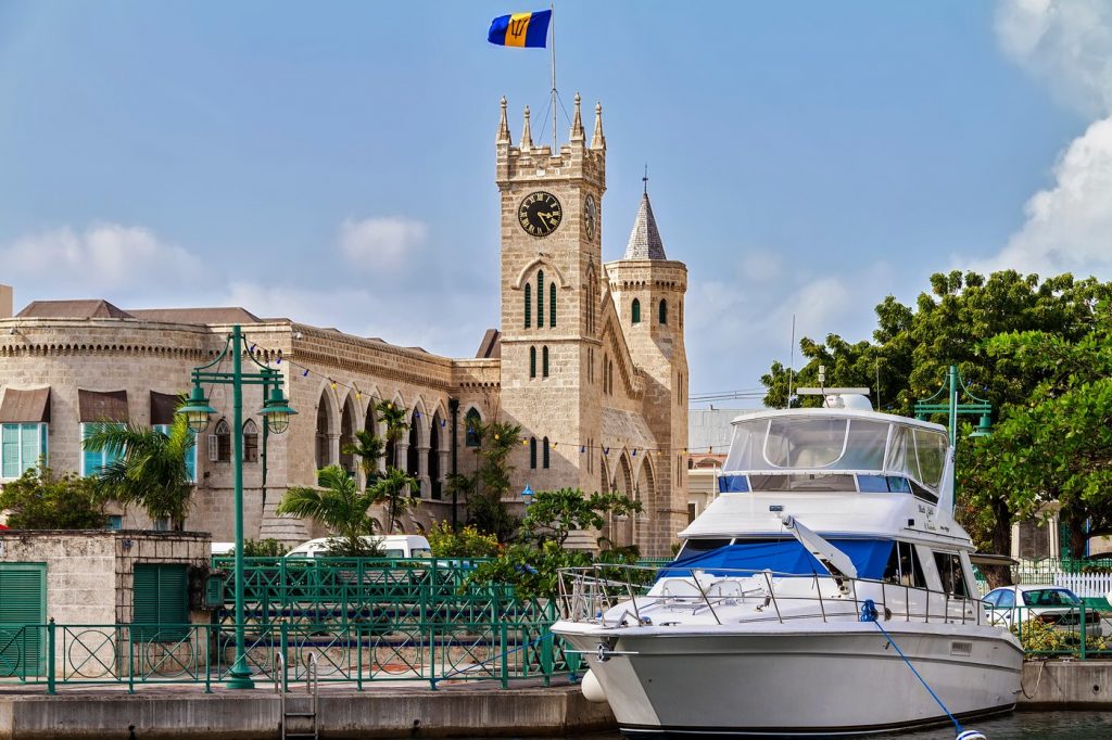 Redescoperirea șarpelui fir din Barbados: O speranță pentru biodiversitate și conservare